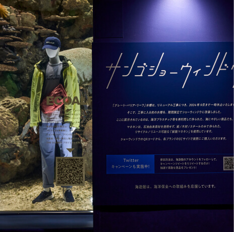海遊館 ｢サンゴショーウィンドウ｣